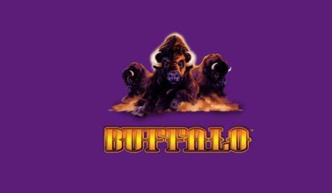 Buffalo Slot