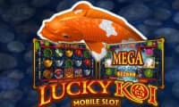 Lucky Koi